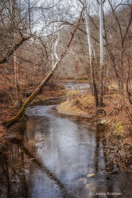 Meandering Creek