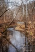 Meandering Creek