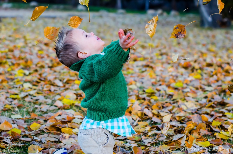 Mason in the fall