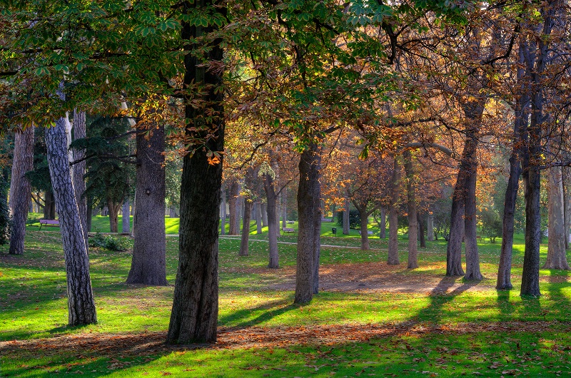 El Retiro park