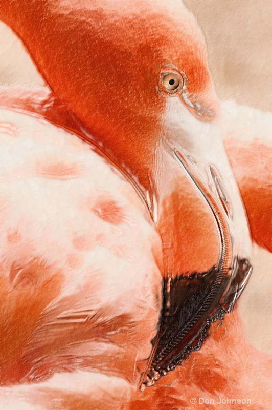 Artistic Flamingo Pose 085