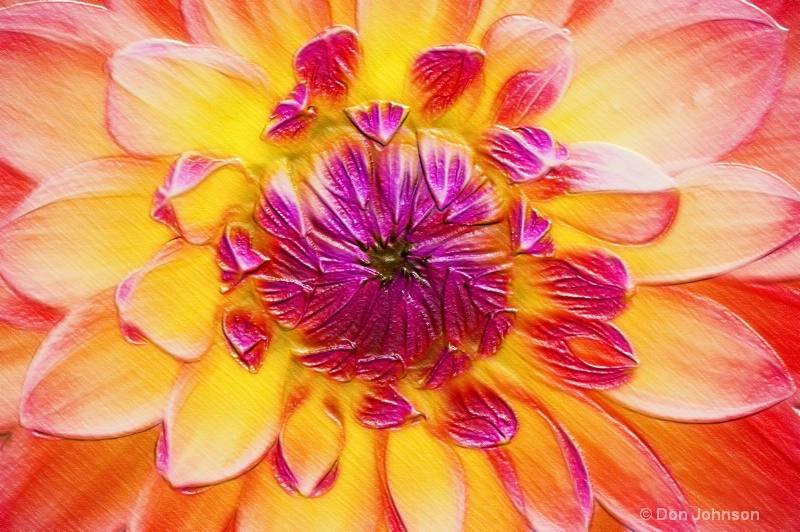 Artistic Colorful Macro Flower 309