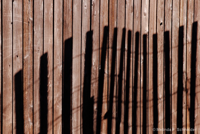 Shadow Fencing