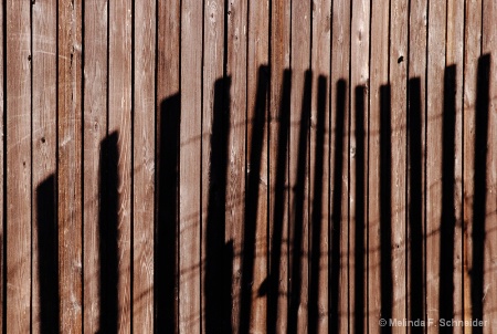 Shadow Fencing