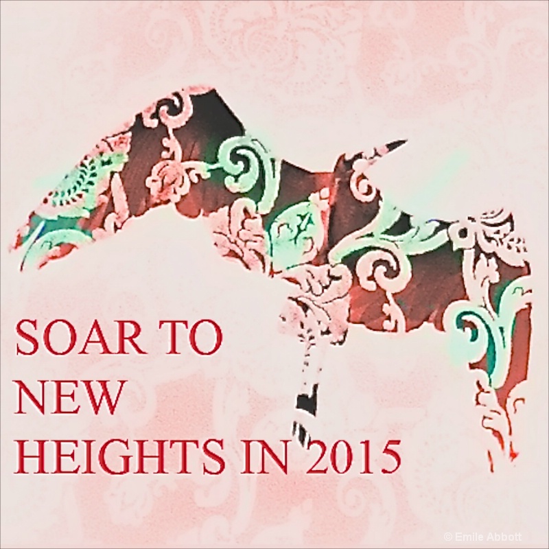 Soar to new heights in 2015