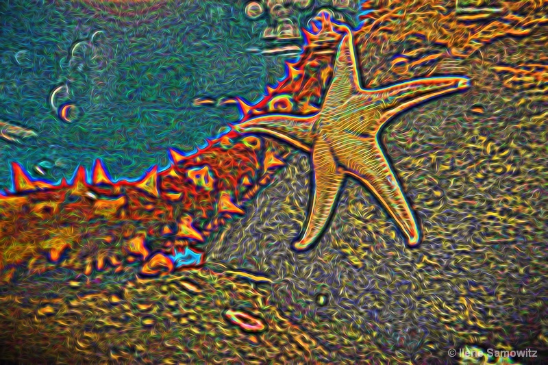 Electric Starfish