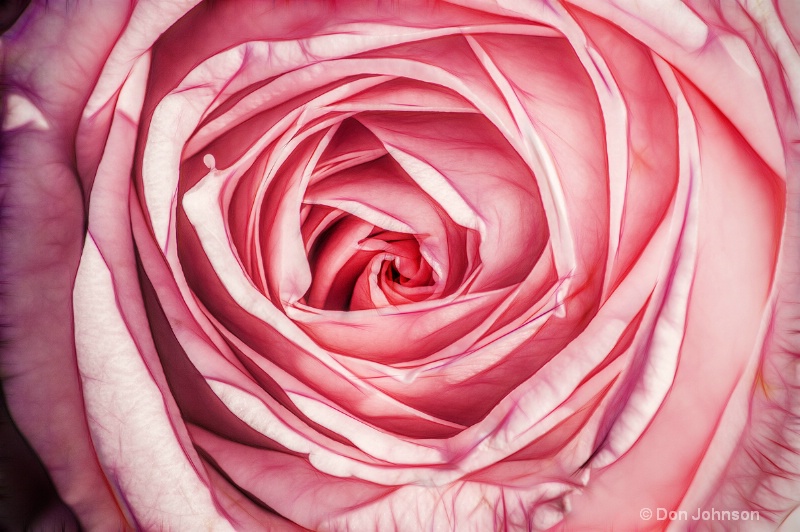 Artistic #2 Pink Rose Macro 255