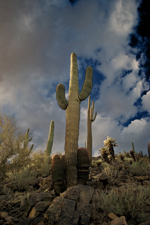 The Buttes