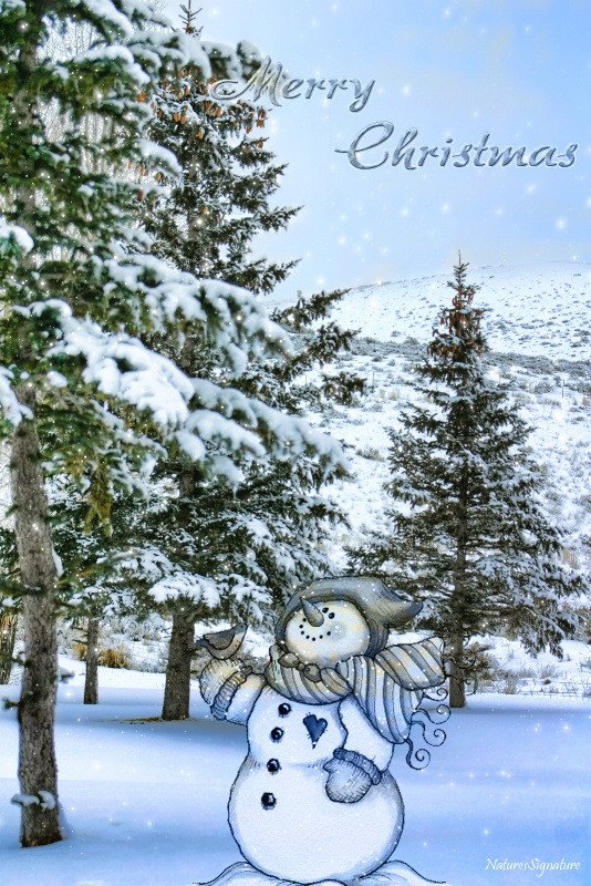 ~ Snowman Christmas Wishes ~ - ID: 14797070 © Trudy L. Smuin