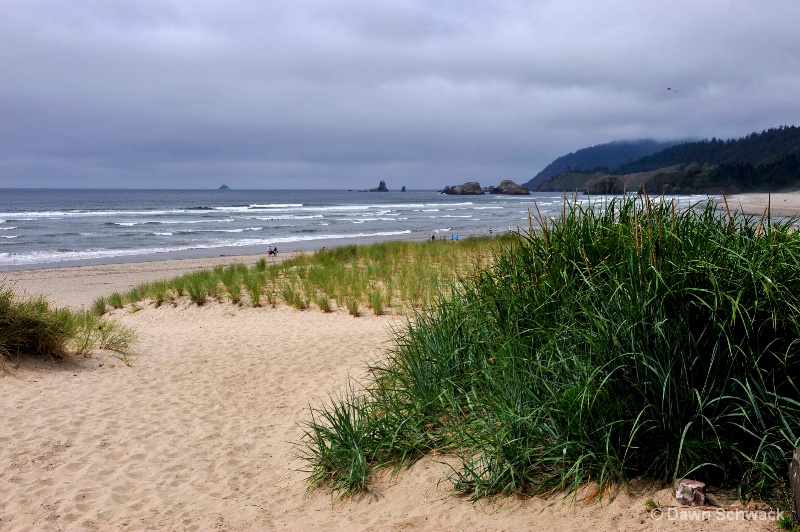 Dune View - ID: 14797503 © Dawn Schwack