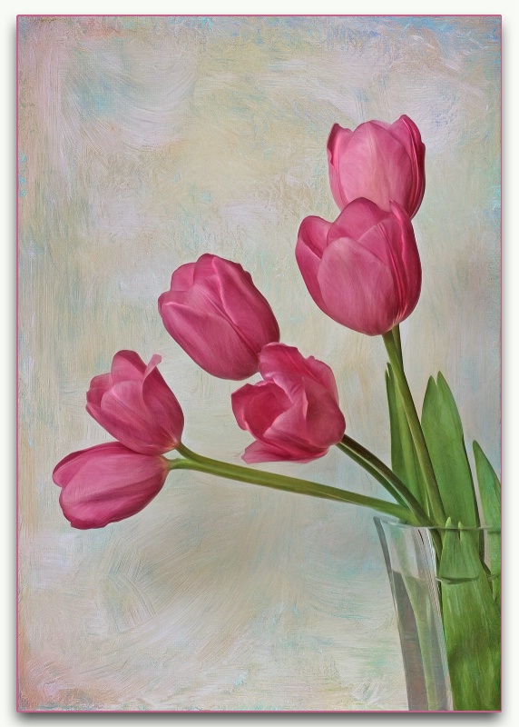 tulips in vase
