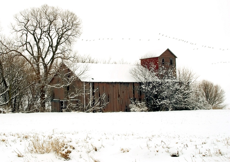 Winter Barn