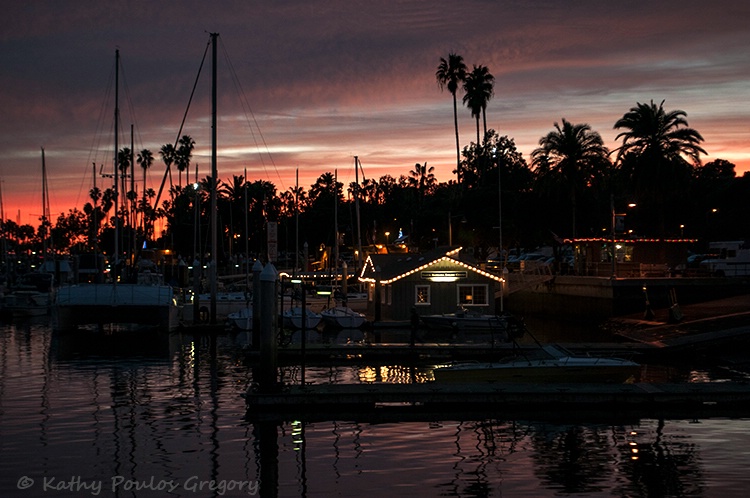 Pre-dawn at the harbor.