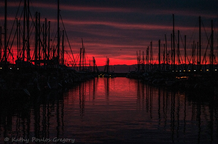 Pre-dawn at the harbor.