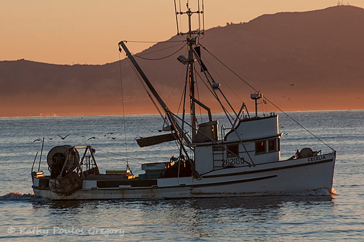 Vessel "Cecilia" starting her day.