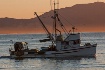 Vessel "Cecil...