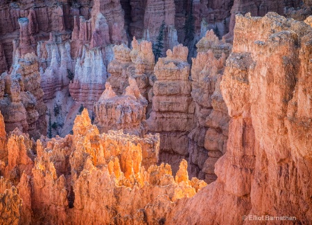 Bryce Canyon 12