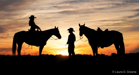 Country Sunset