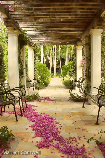 Tropical Interlude…Blossoms for Brides