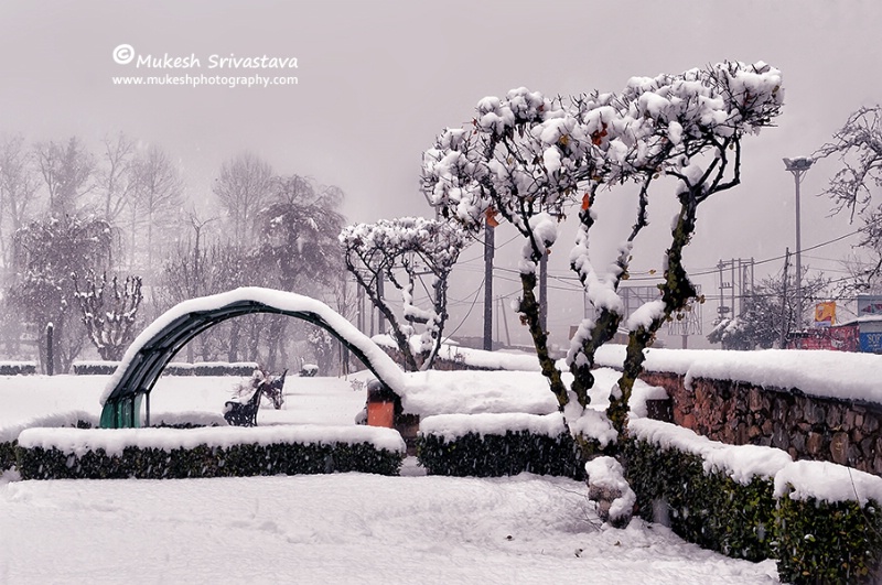 Snow Fall At Srinagar-3