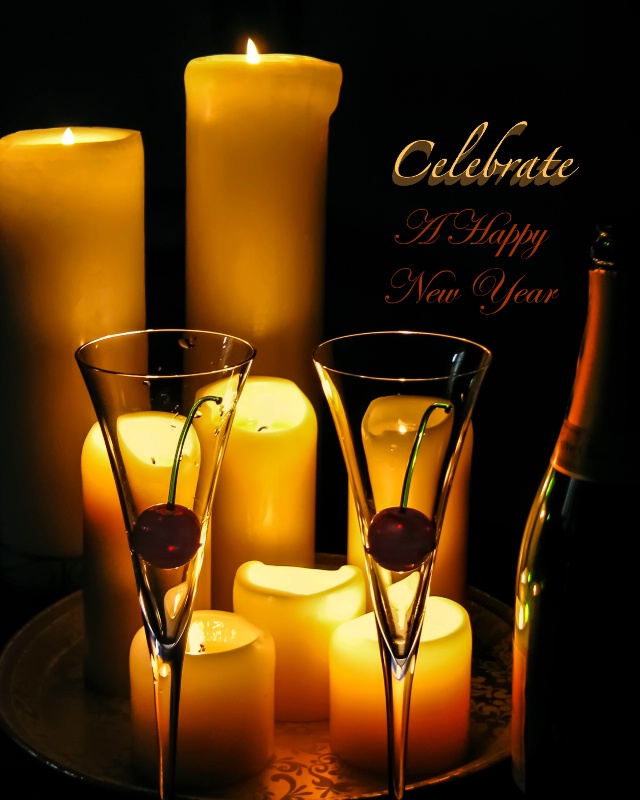 Celebrate A Happy New Year  3724