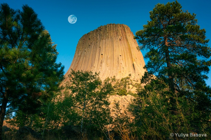 Devils Tower National Monument, Wyoming<p> - ID: 14800524 © Yulia Basova