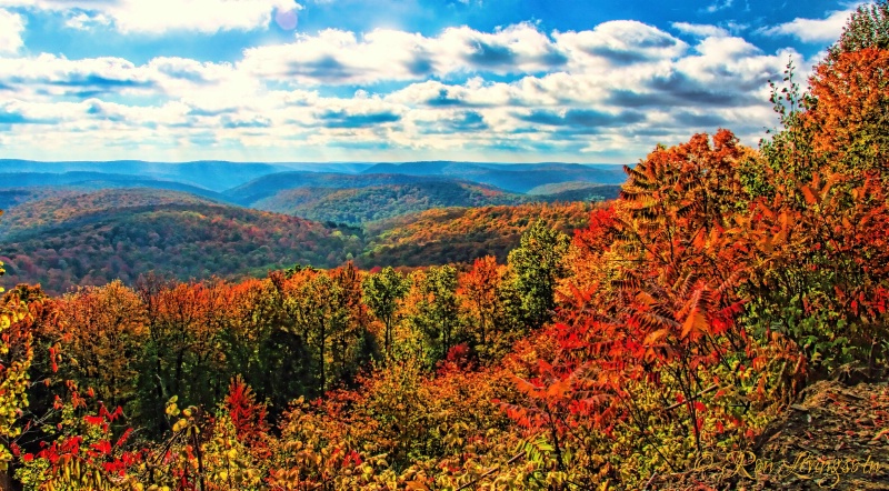 Autumn in the Smokies