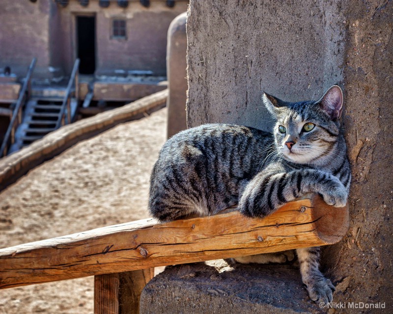 Missy at the Fort