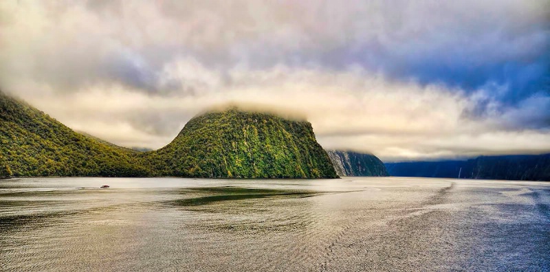 New Zealand's Beauty