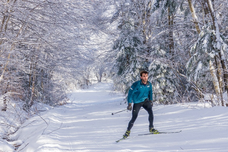 Skiing Through the Woods