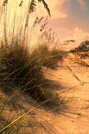 Peaceful Beach Landscape