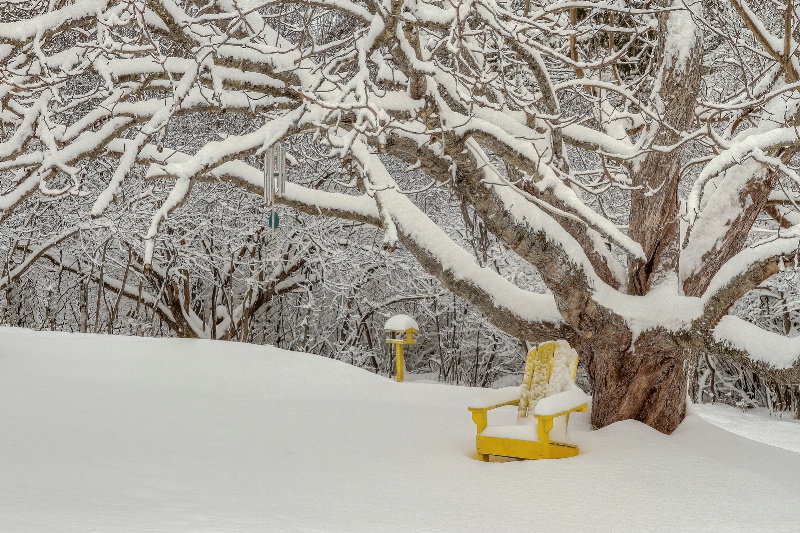 A Yellow Chair