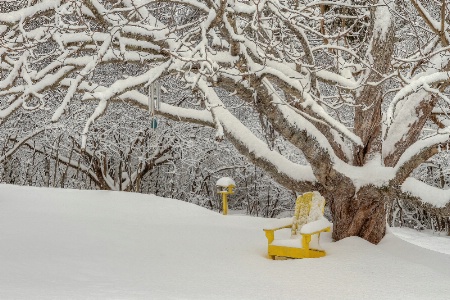 A Yellow Chair