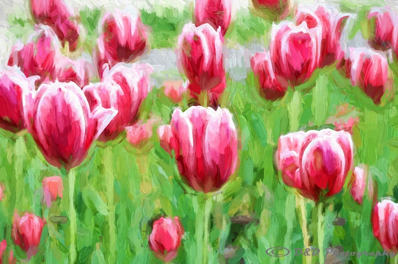 Painted Spring Flowers