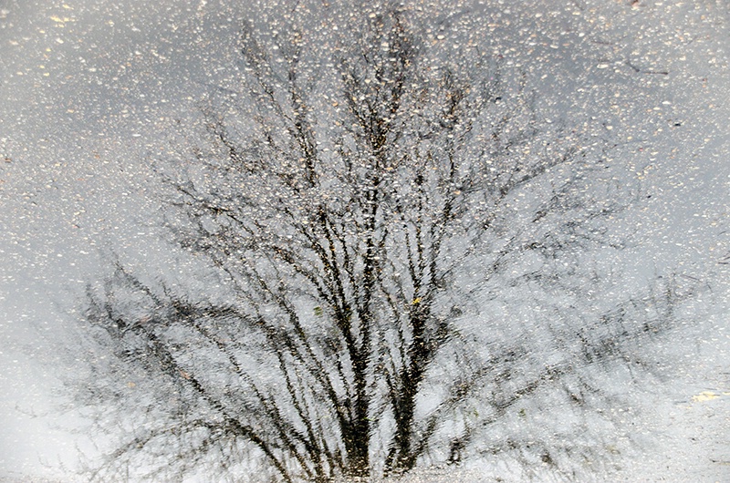 Parking Lot Reflection