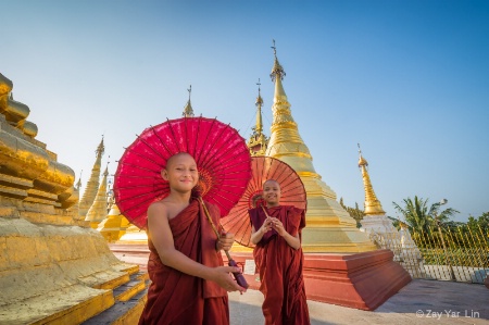 Novices from Myanmar