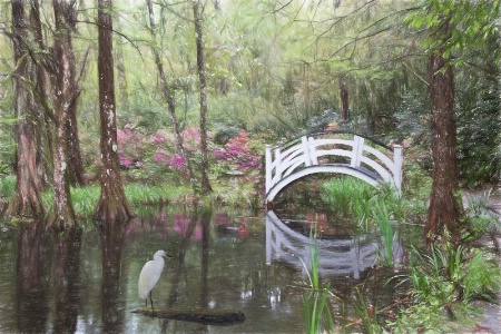 Magnolia Plantation