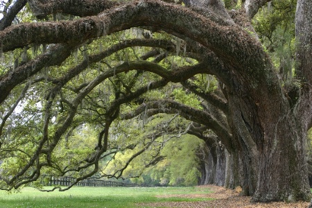 Southern Archway