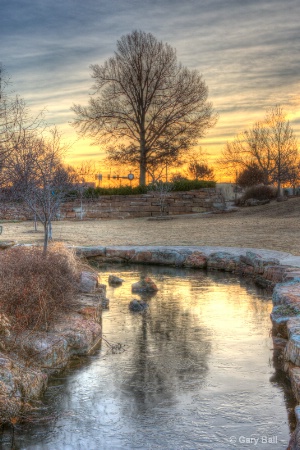 Tree Reflection at Sunrise