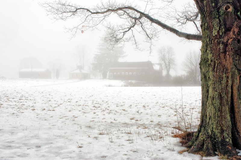 Brookwood Farm in Fog and Snow