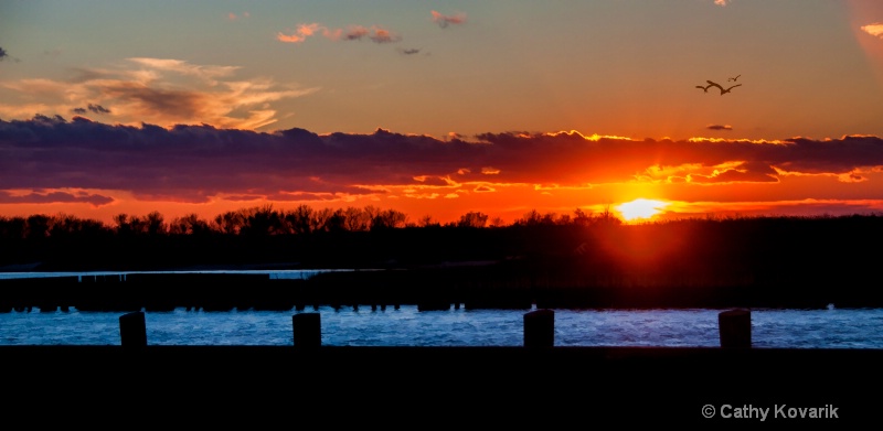 Sunset At The Marina