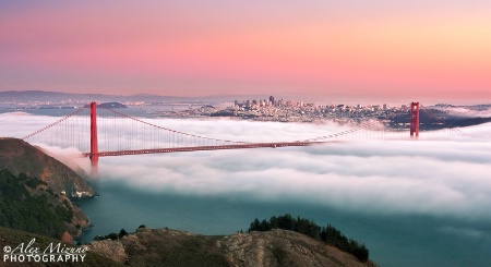 Belt Of Venus Over San Francisco