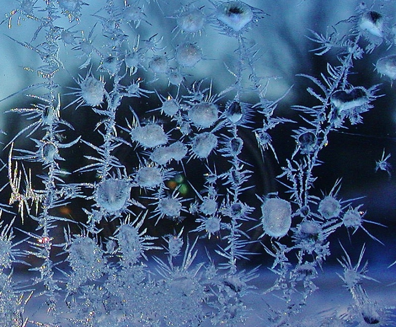 Different Ice Crystals