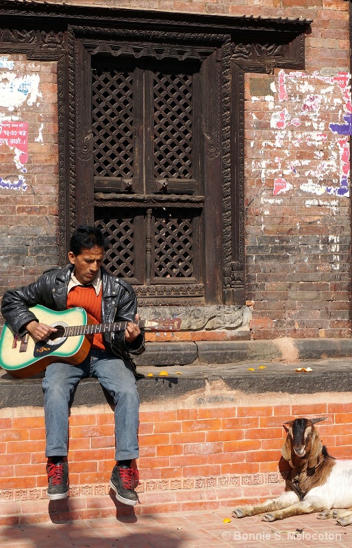 A Man And His Guitar. And A Goat.