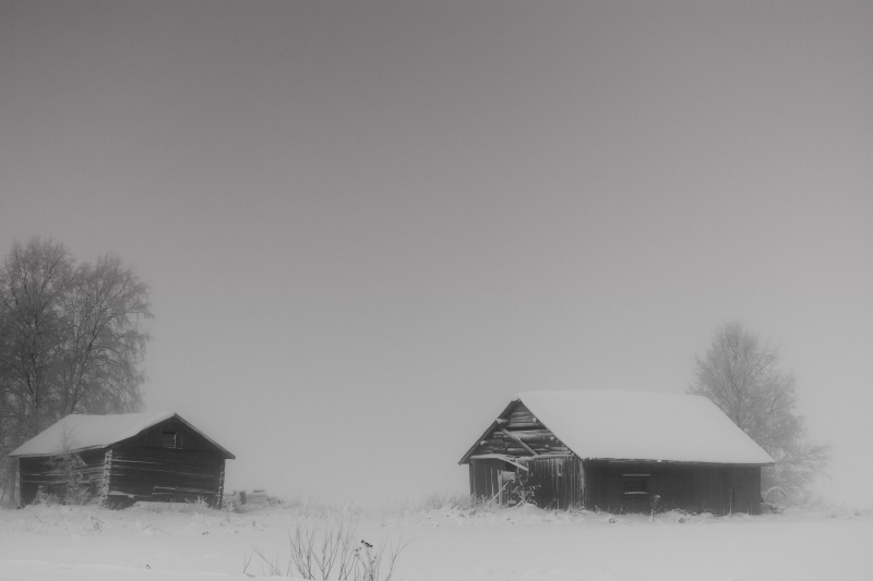 Barns In Snow Storm