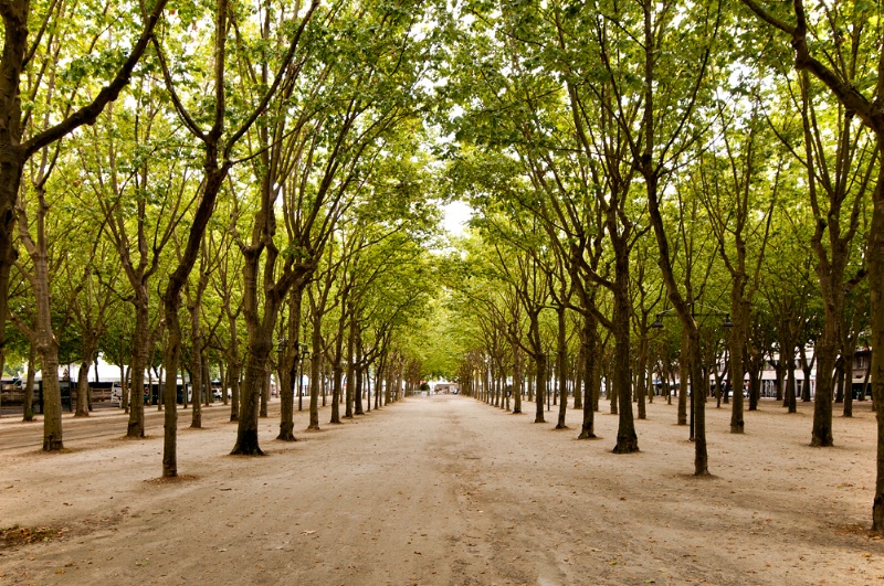 Place des Quinconces