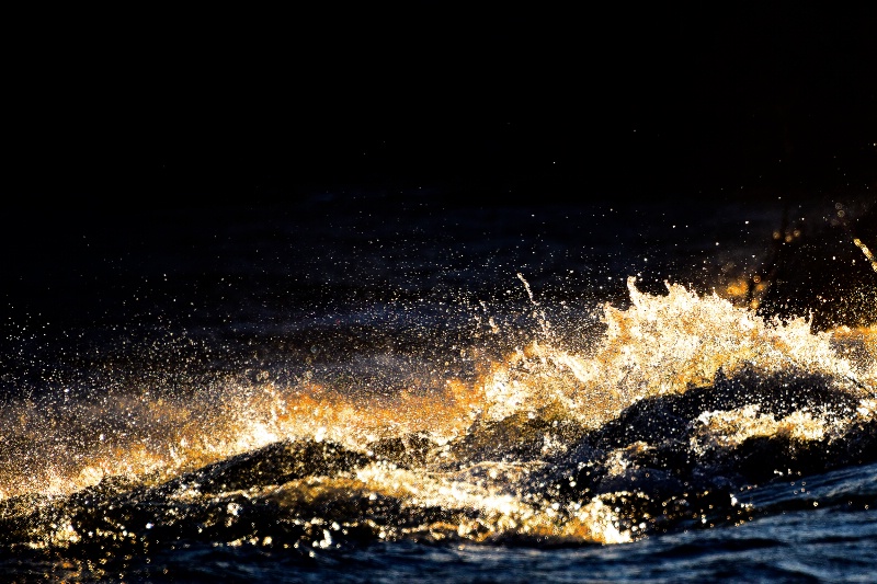 Wave on the river at sunset