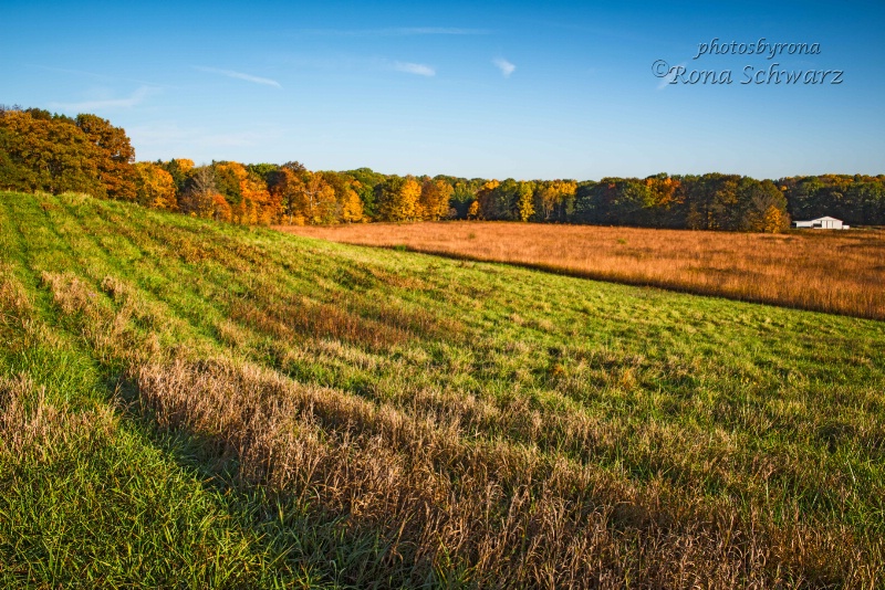 Field of Dreams