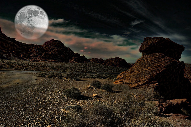 Desert Moon