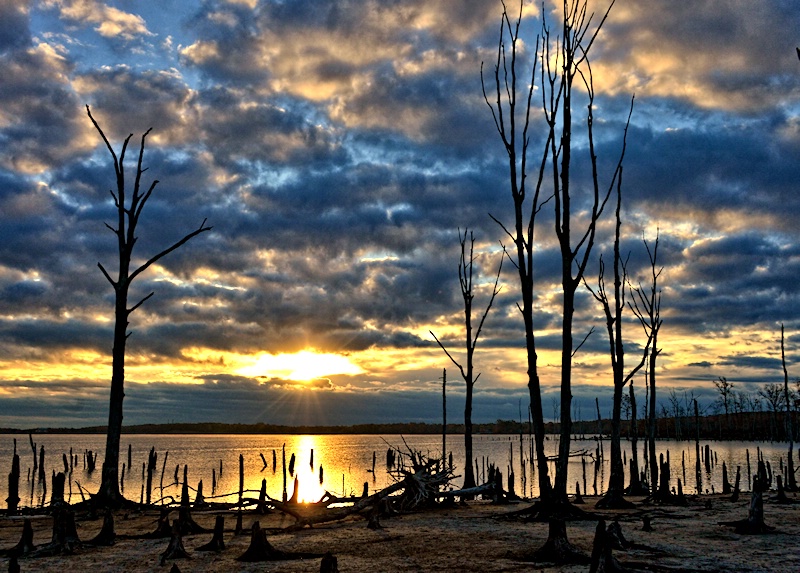 Cloudy Sunrise